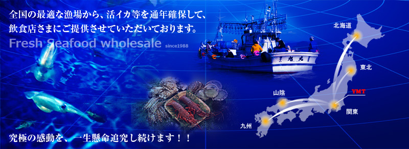 全国の最適な漁場から、活イカ等を通年確保して、飲食店さまにご提供させていただいております。
