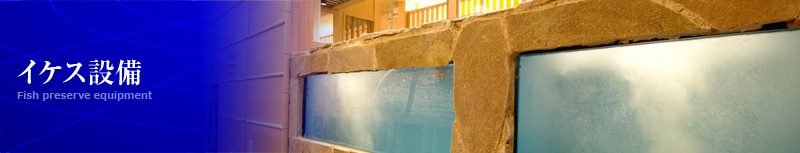 全国の最適な漁場から、活イカ等を通年確保して、飲食店さまにご提供させていただいております。