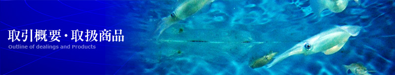 全国の最適な漁場から、活イカ等を通年確保して、飲食店さまにご提供させていただいております。