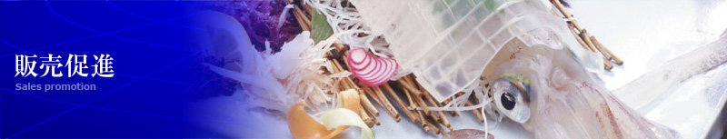 全国の最適な漁場から、活イカ等を通年確保して、飲食店さまにご提供させていただいております。