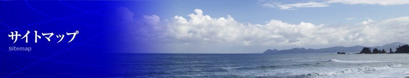 全国の最適な漁場から、活イカ等を通年確保して、飲食店さまにご提供させていただいております。